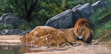 orgullo de leon bebiendo Pinturas al óleo